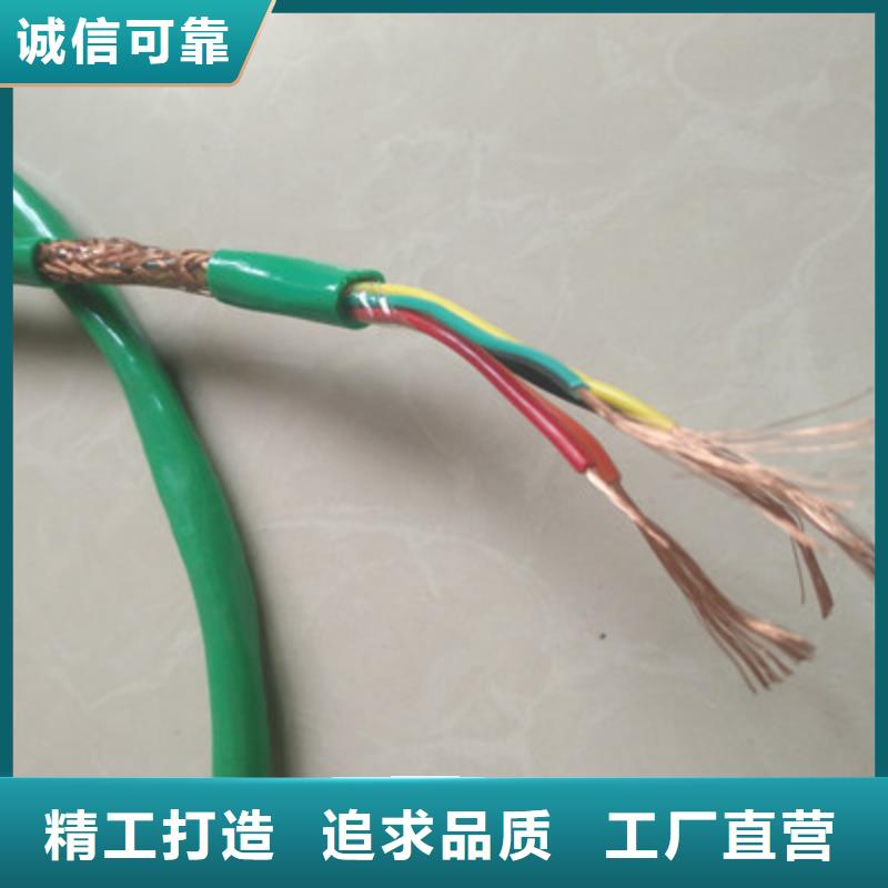 DJYJP3V 铠装计算机电缆4X2X1.0