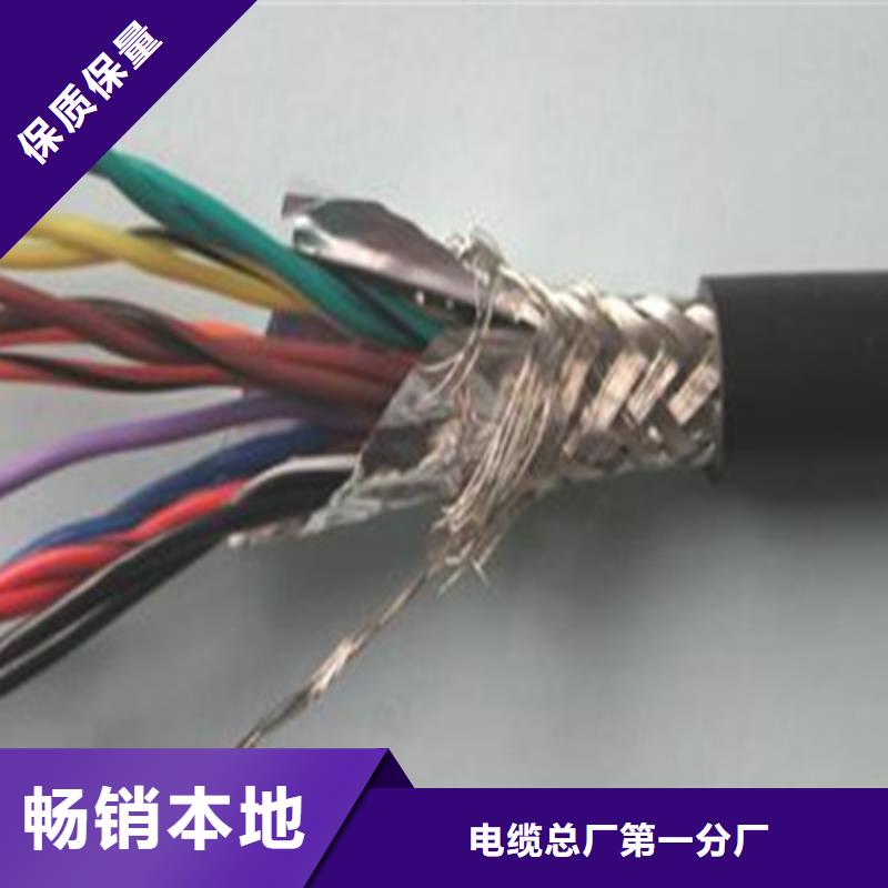 NH-DJYP2V22耐火计算机电缆放心选择