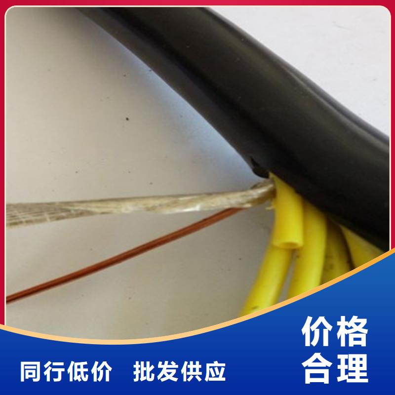 控制电缆本安防爆电缆准时交付