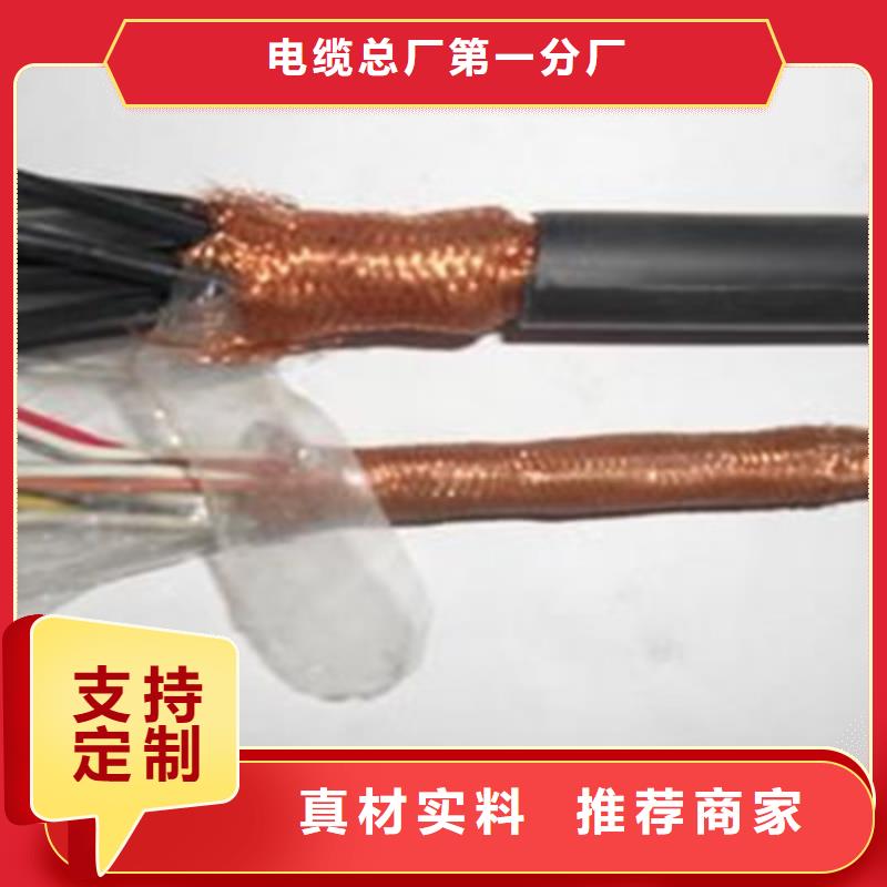 黄绿色单芯电缆QVR公司