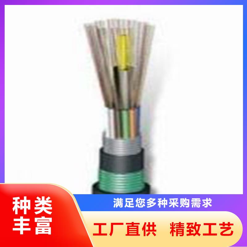 铁路电缆PTYV4X1.0