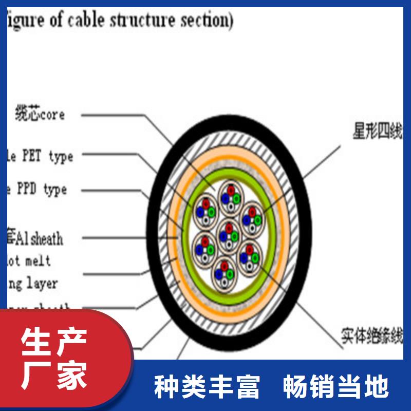 PZYA22铁路信号电缆生产厂家