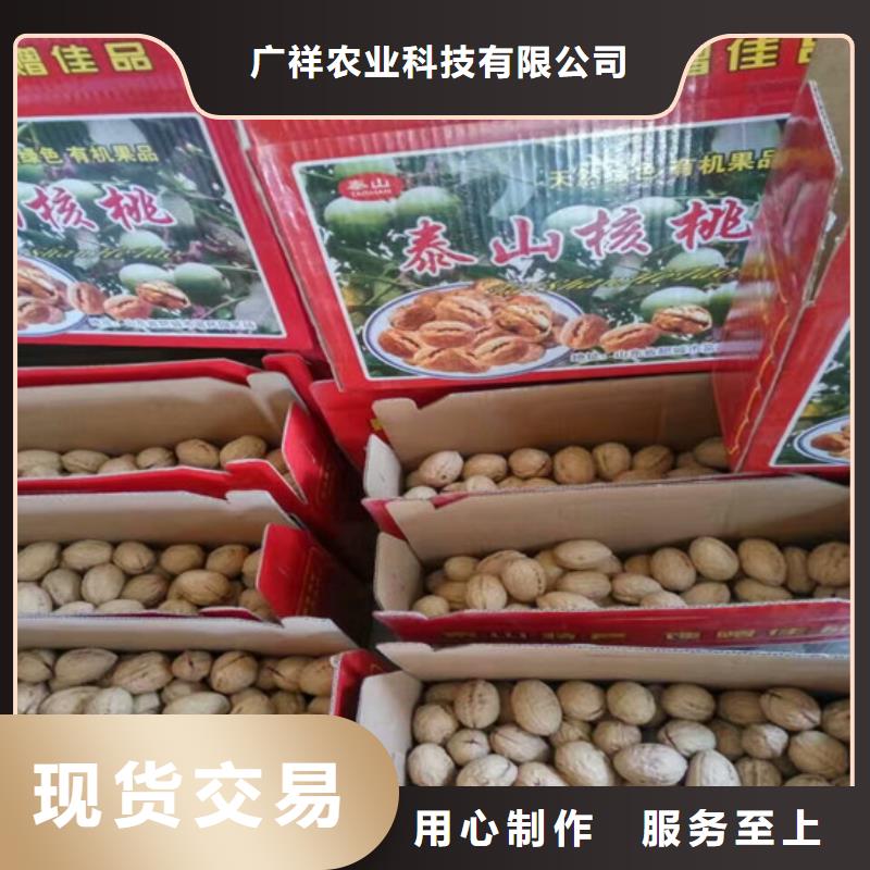 核桃苗梨树苗基地质量牢靠