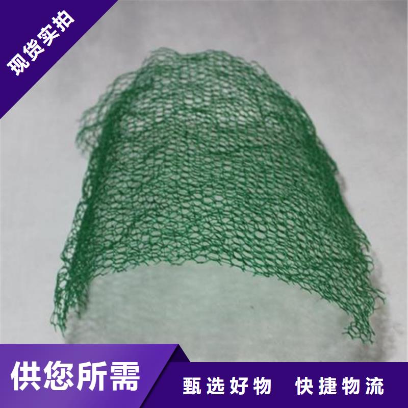 三维植被网三维土工网品质有保障