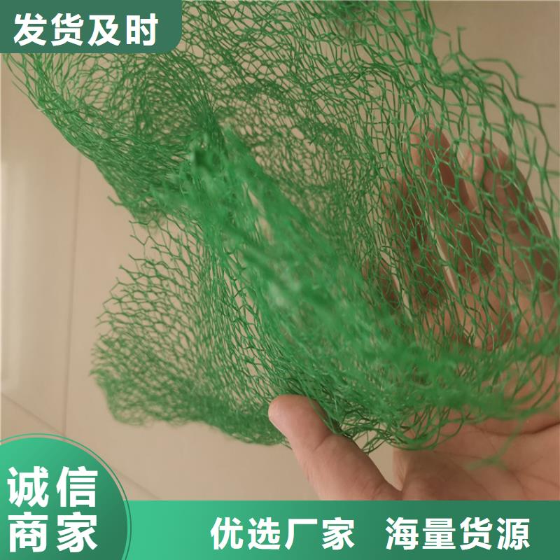 三维植被网三维土工网品类齐全