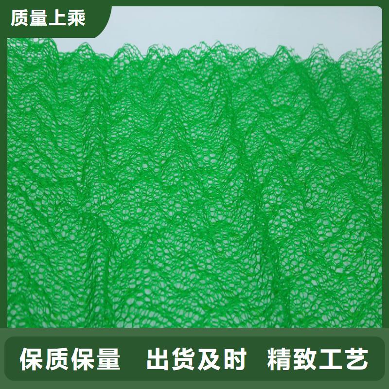 三维植被网护坡塑料