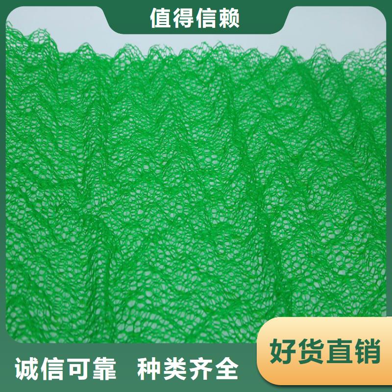 绿化草皮三维护坡植草网垫
