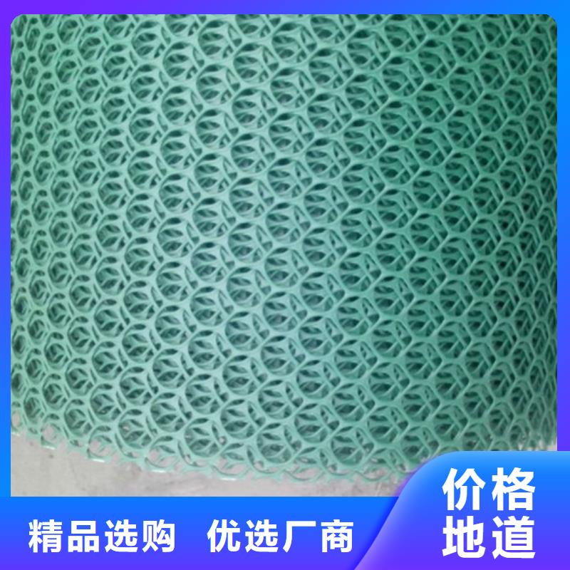 三维植被网_加筋麦克垫市场报价