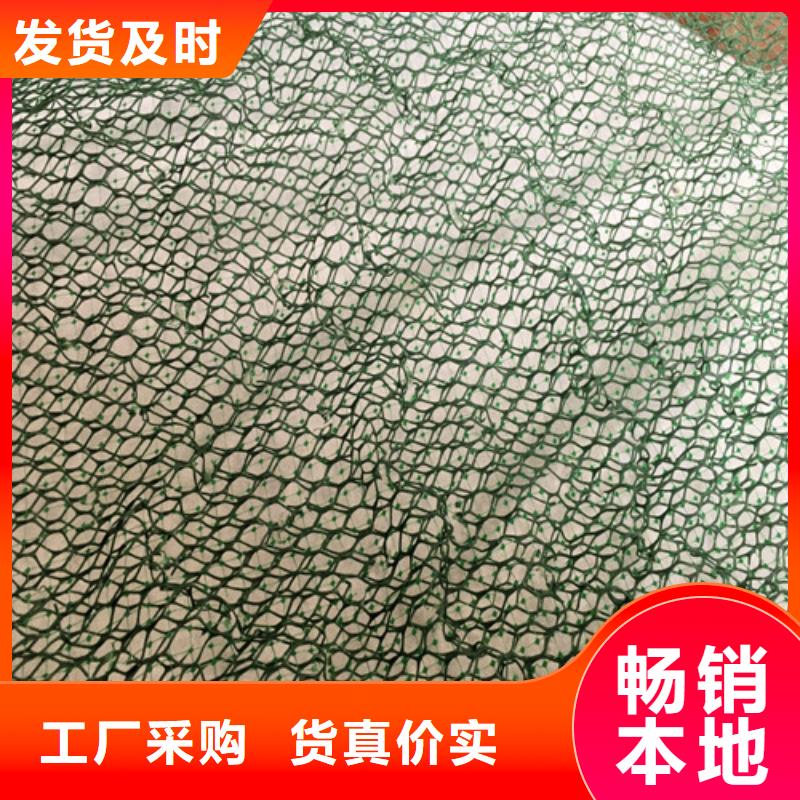 三维植被网三维土工网合作共赢