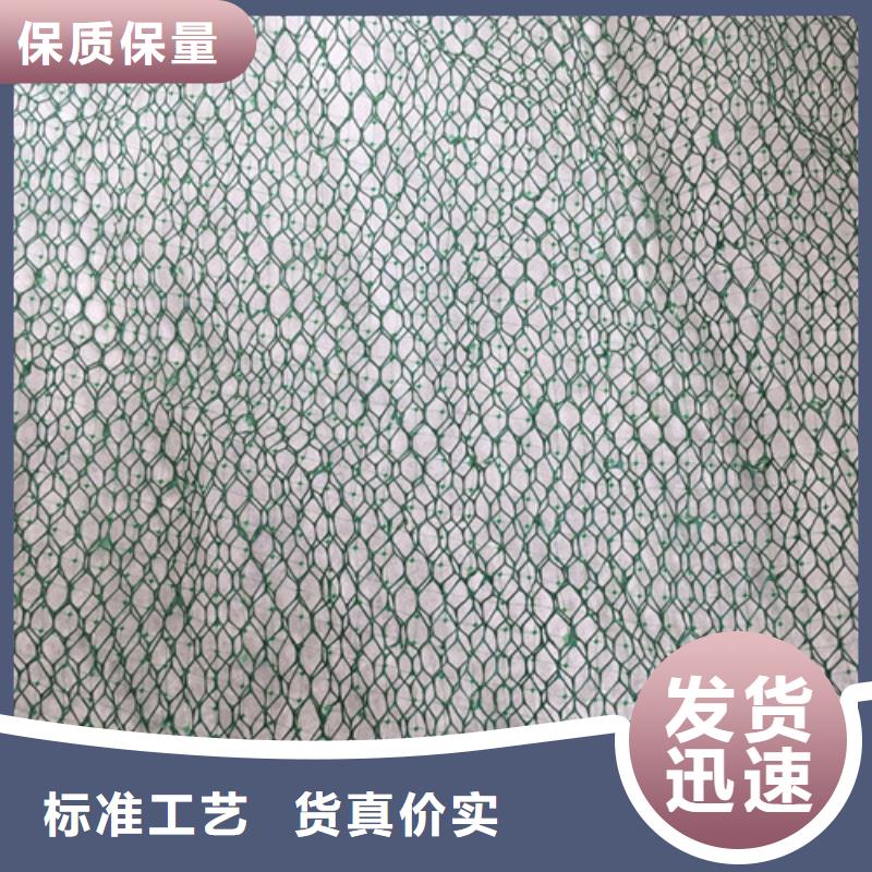 三维植被网三维植被网垫优选原材