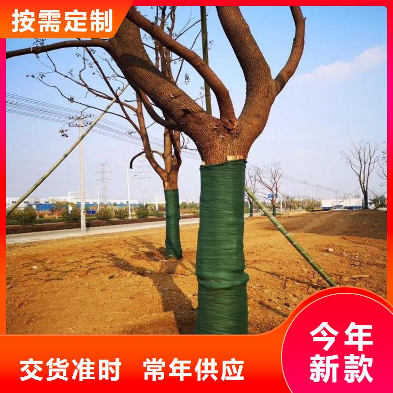 裹树布防水膜工厂直供