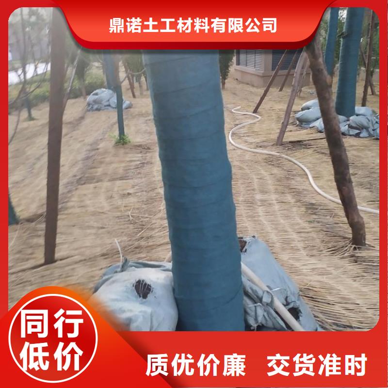 裹树布防水膜工厂直供