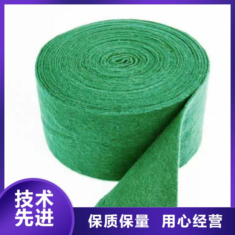裹树布防水膜工厂直供