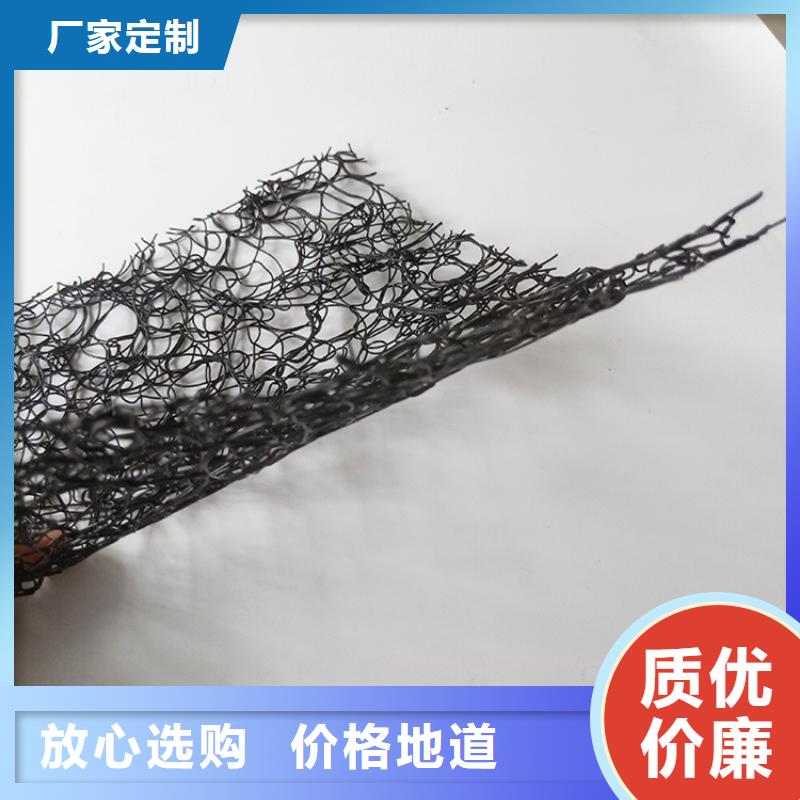 通风降噪丝网【钢塑土工格栅】精工制作