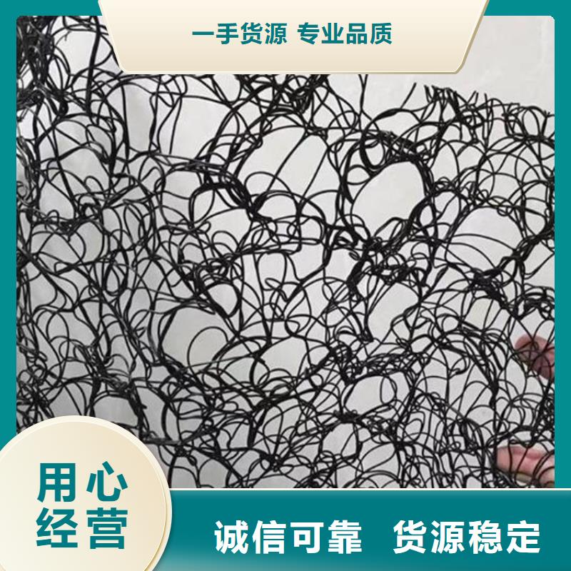 通风降噪丝网【钢塑土工格栅】精工制作