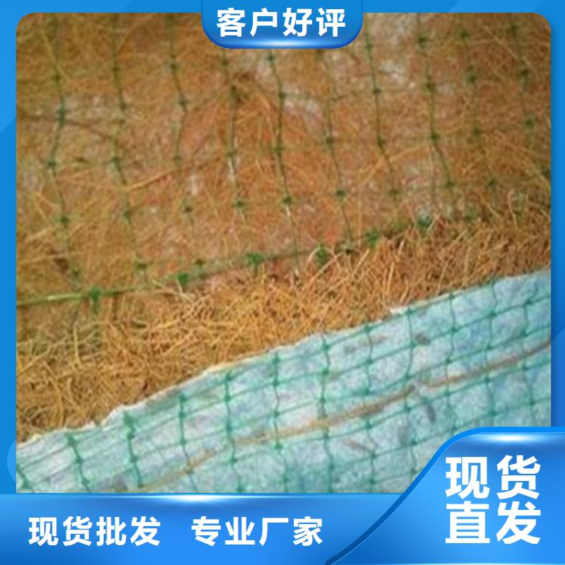 椰丝毯,HDPE复合排水板的简单介绍