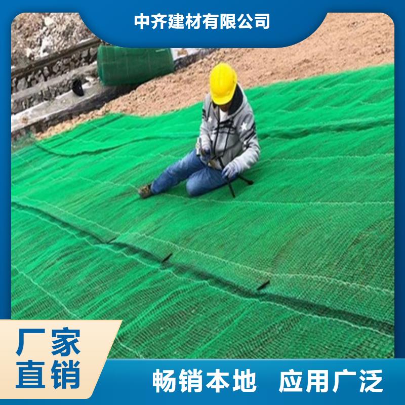 椰丝毯排水板真材实料诚信经营