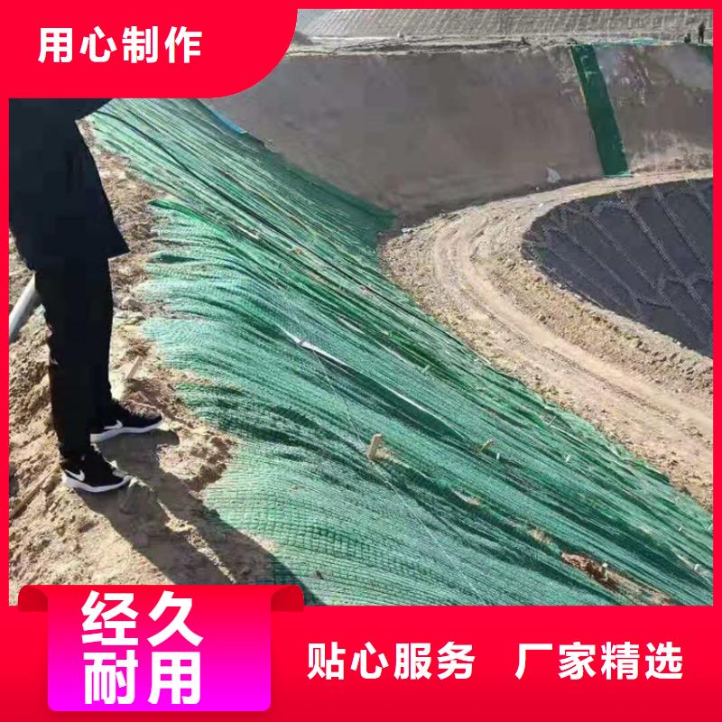 生态植物防护毯护坡植被植草毯