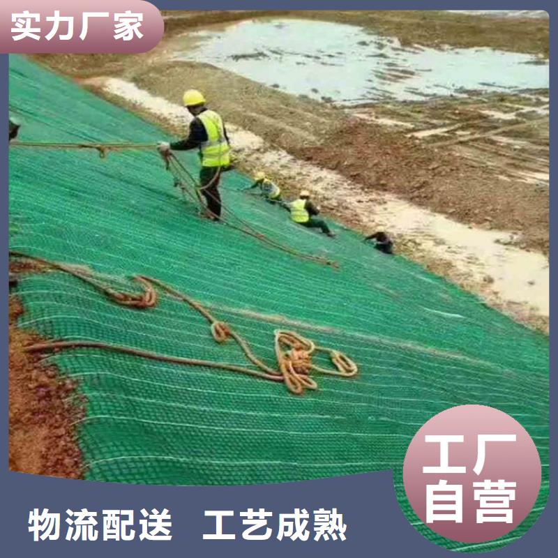 水保抗冲生物毯植被毯