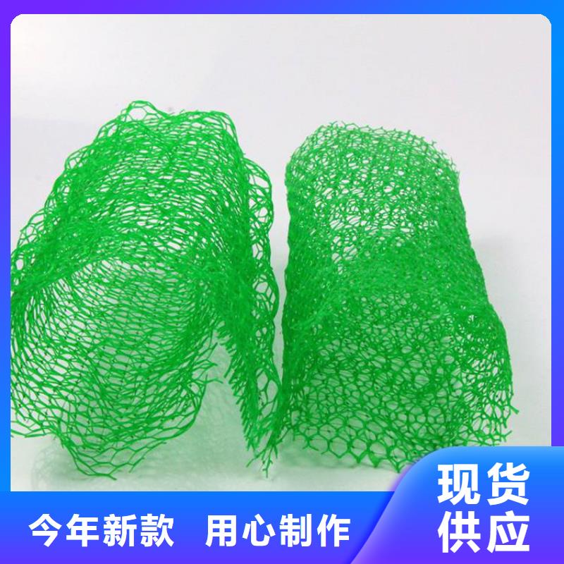 塑料EM5三维护坡植草网