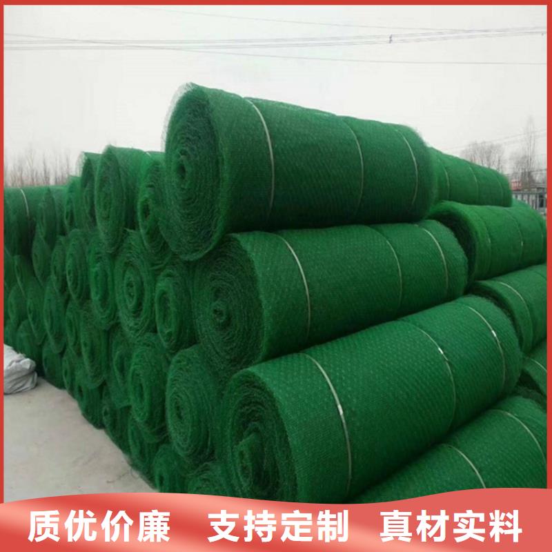 三维植被网80KN玻纤格栅大量现货供应