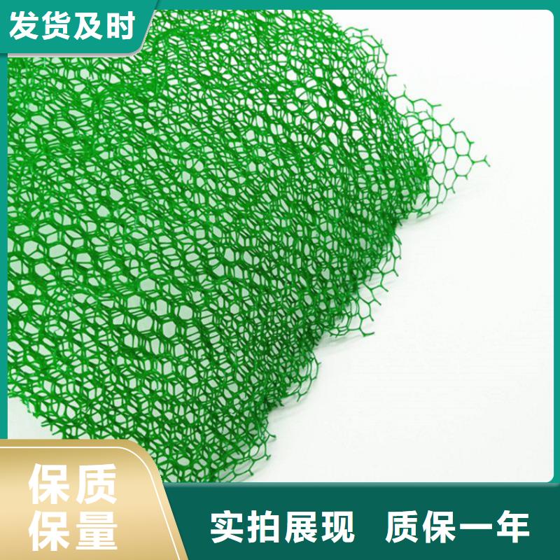 三维植被网80KN玻纤格栅大量现货供应