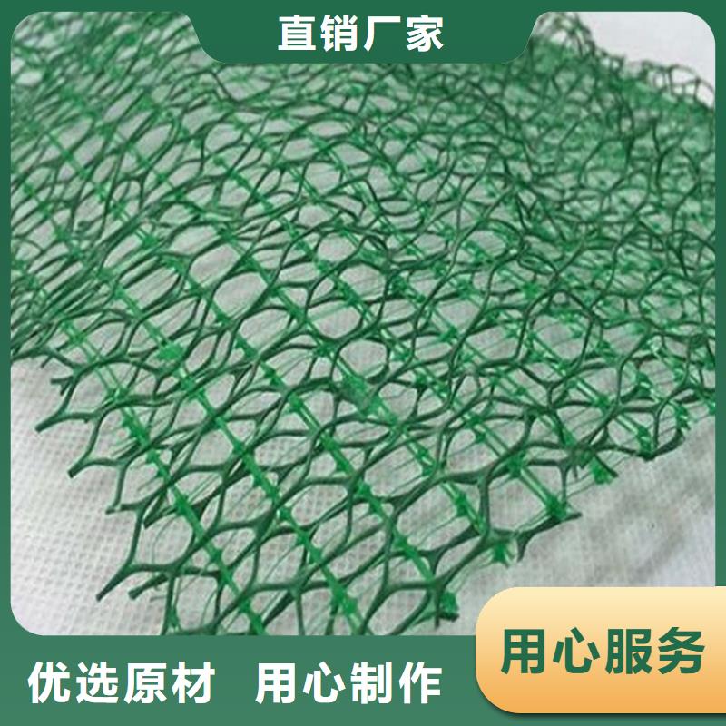 三维植被网80KN玻纤格栅大量现货供应