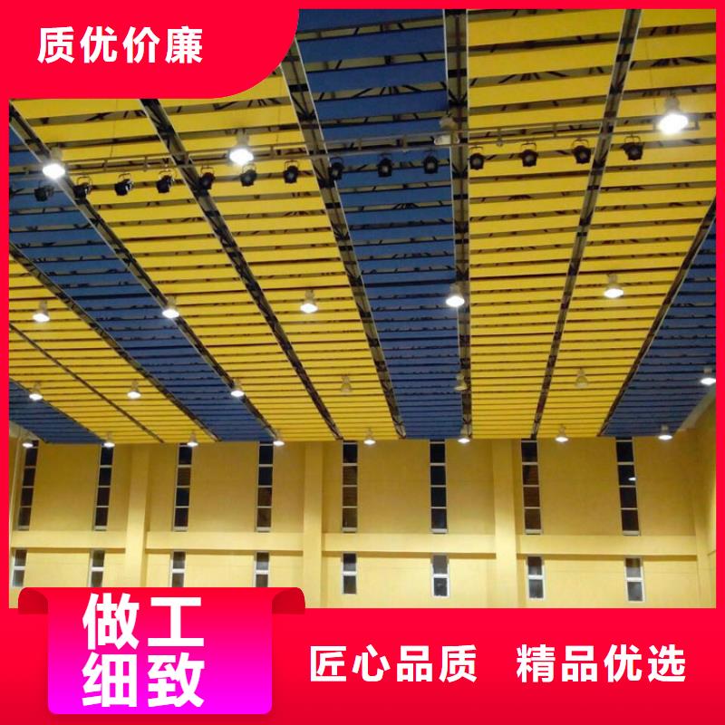 亚东县公司体育馆吸音改造价格--2024最近方案/价格