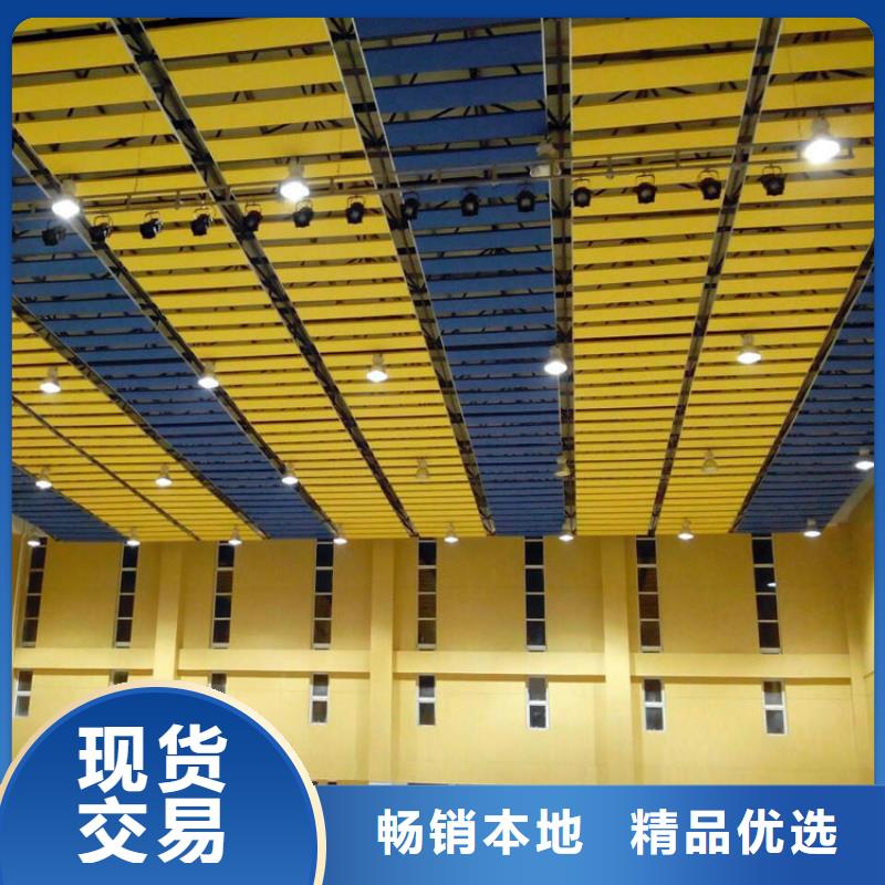 江苏省设备齐全支持定制《凯音》学校体育馆吸音改造公司--2024最近方案/价格