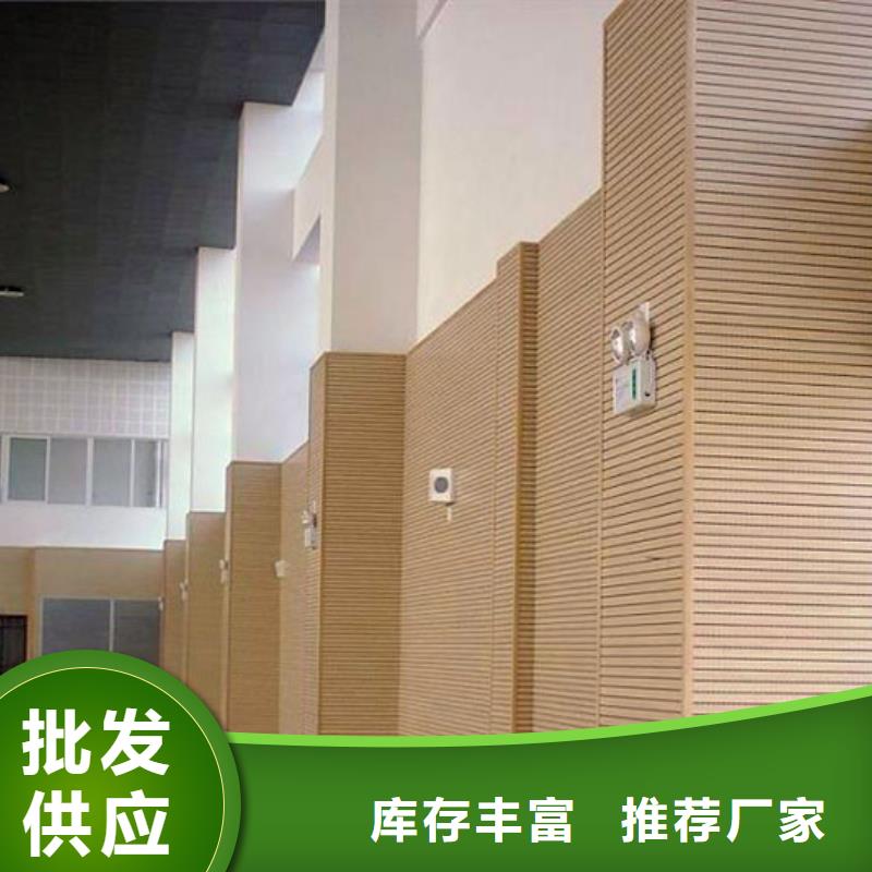 广西省优选(凯音)县篮球馆体育馆吸音改造价格--2024最近方案/价格