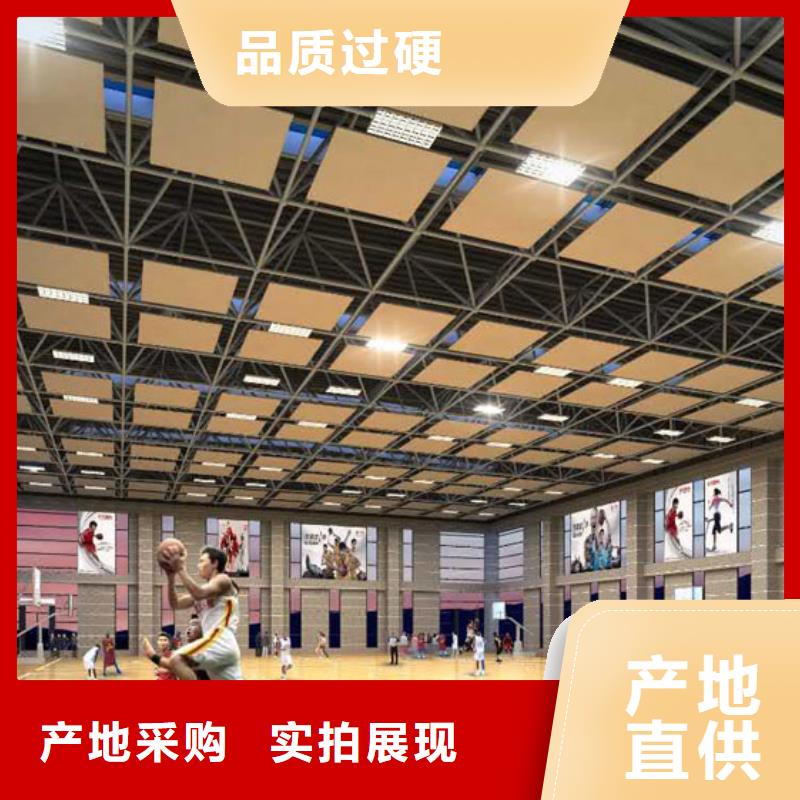 湖南省专注品质[凯音]县训练馆体育馆声学改造价格--2024最近方案/价格