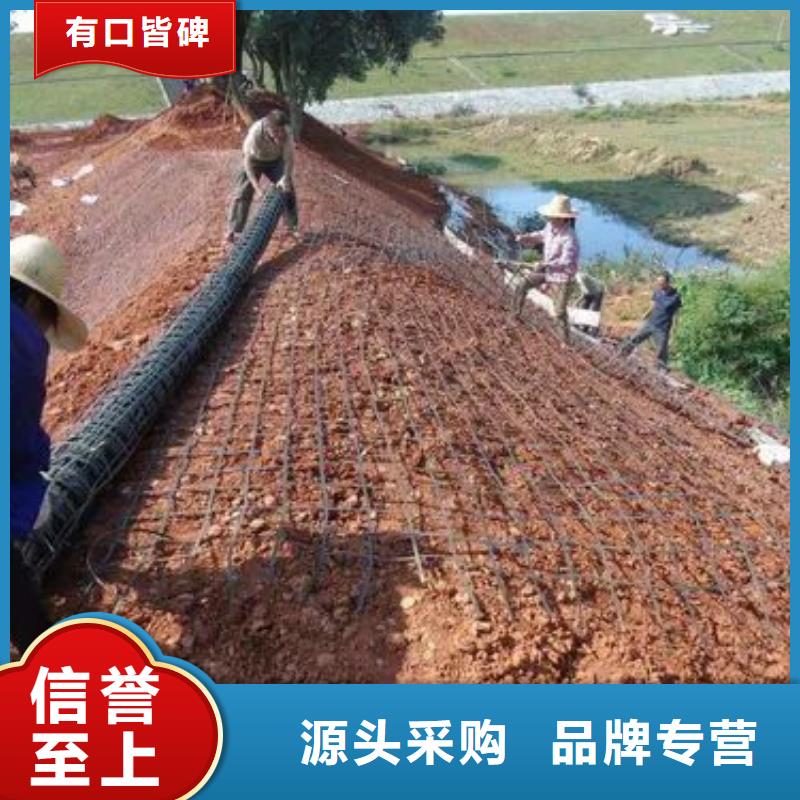 三维土工格栅直供厂家厂家