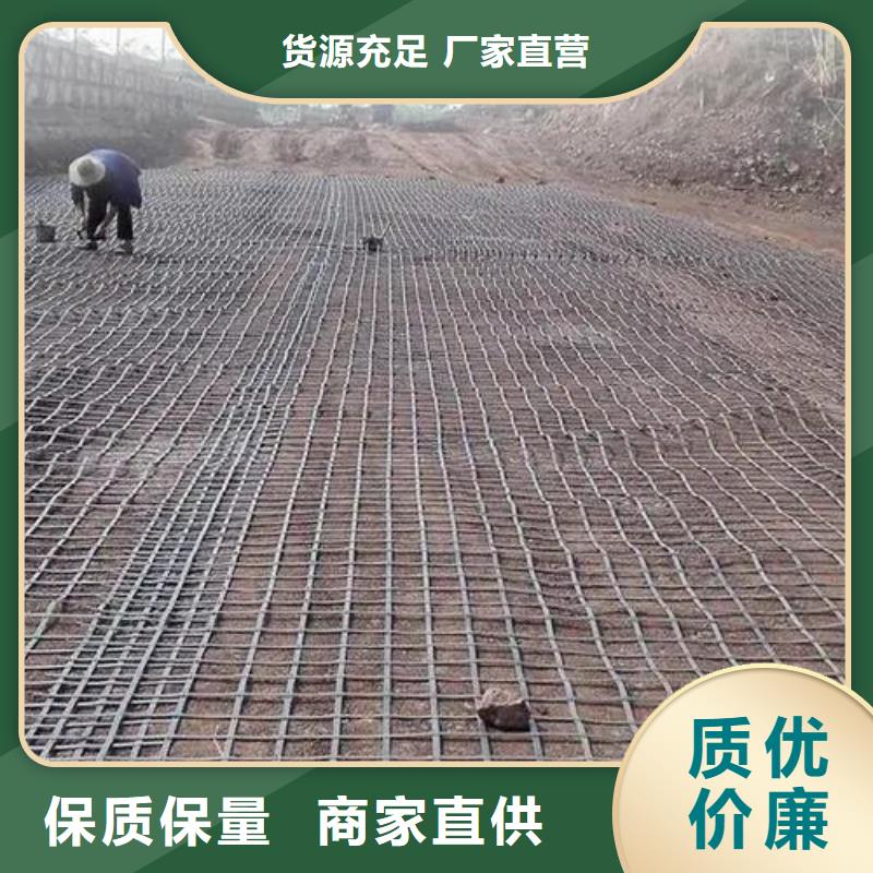 专业销售塑料格栅-价格优惠