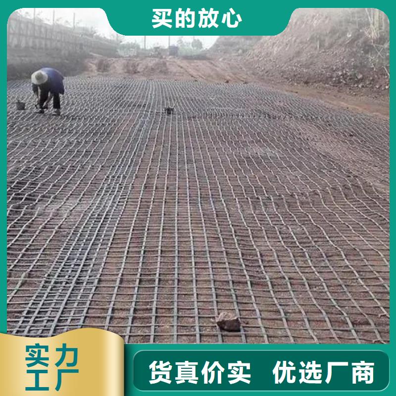 钢塑土工格栅报价电话