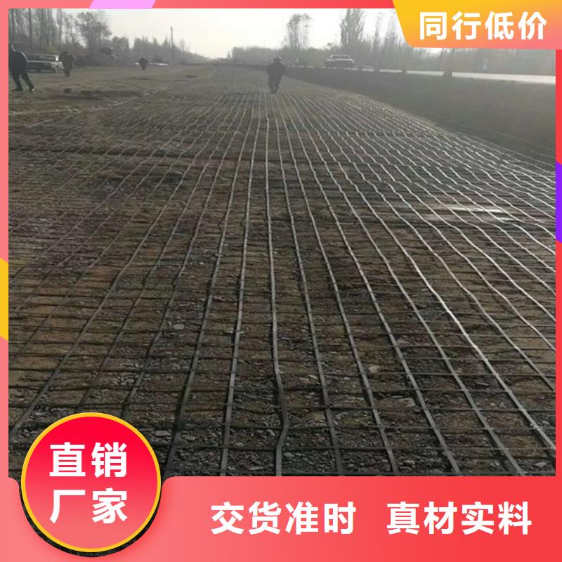 深圳当地<金鸿耀>专业生产制造塑料土工格栅图片公司