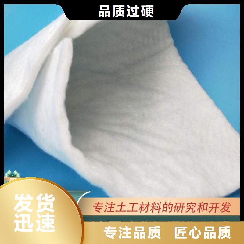 土工布-反渗水土工布