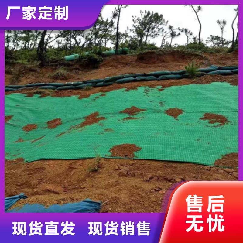 植物生态防护毯加筋抗冲生物毯公司动态已更新