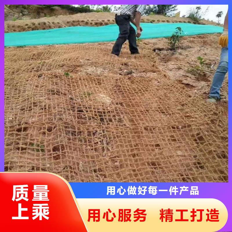 植草绿化毯公路植生毯