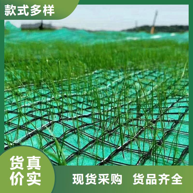 源头厂家经验丰富【鼎诺】植物纤维毯生态环保草毯