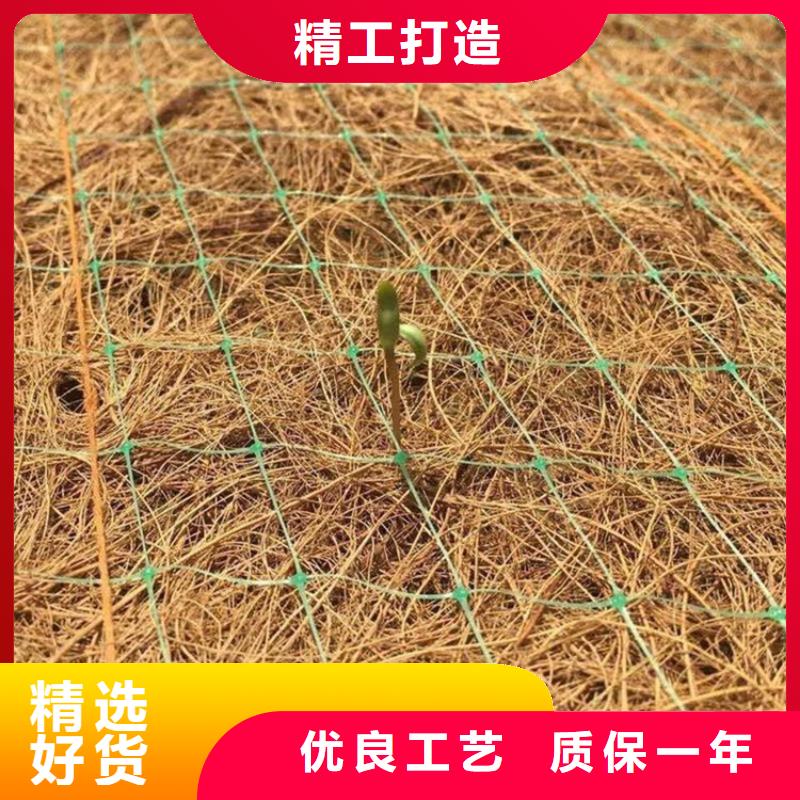 植生椰丝毯护坡植被植草毯型号厚度