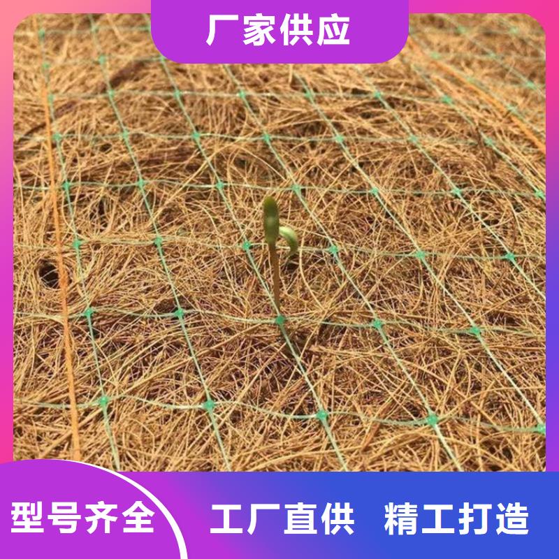 咨询【鼎诺】椰丝毯-椰纤植草毯-秸秆植被纤维毯