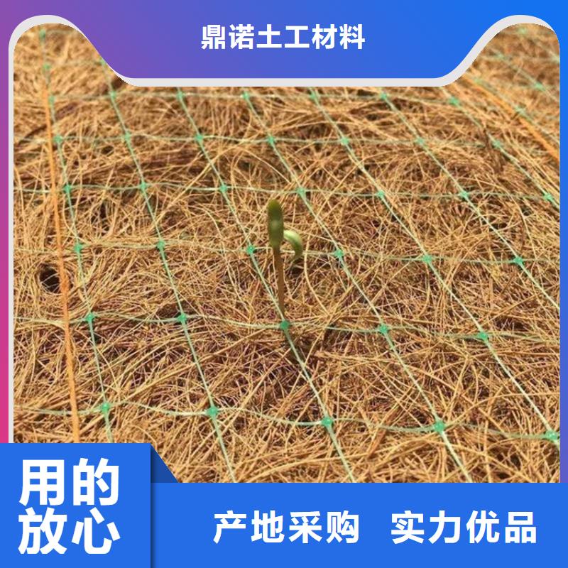 源头厂家经验丰富【鼎诺】植物纤维毯生态环保草毯