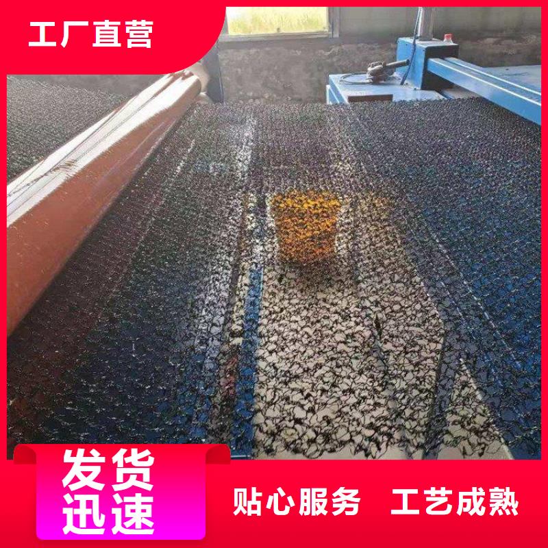 水土保护毯三维植被网工厂自营