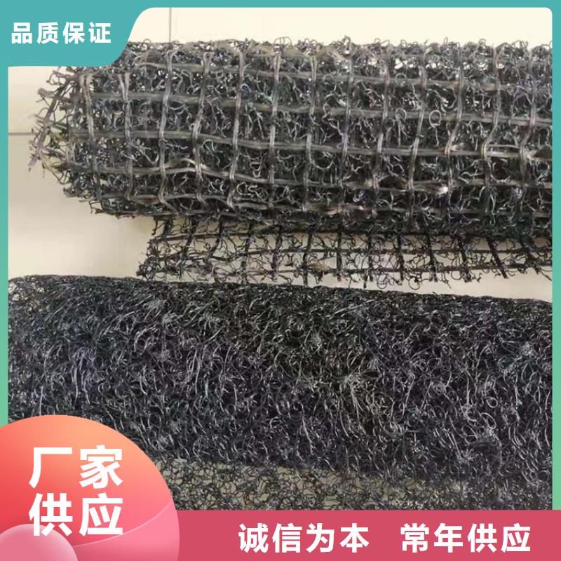 水土保护毯涤纶格栅质量上乘