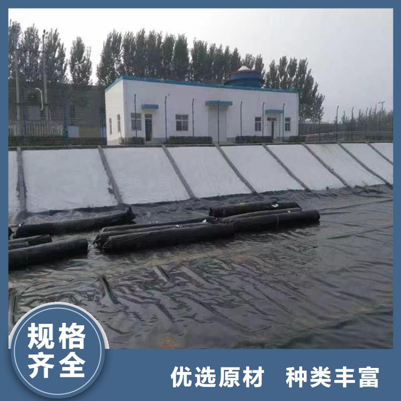 土工膜玻纤土工格栅商家