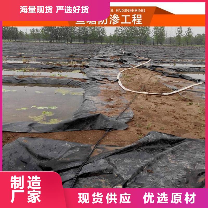 土工膜玻纤土工格栅商家