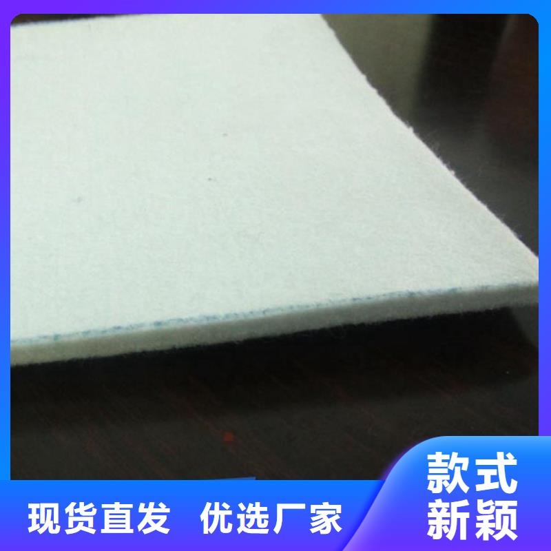 土工布膨润土防水毯工艺精细质保长久
