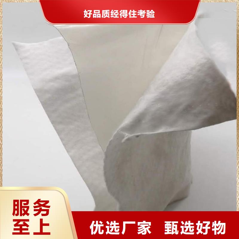 土工布膨润土防水毯工艺精细质保长久