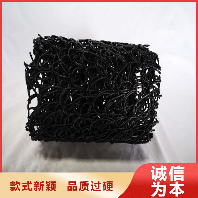 塑料盲沟-渗排水盲管