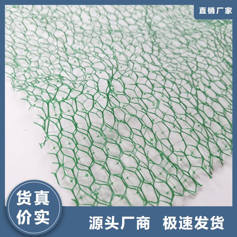 【三维植被网-塑料格栅认准大品牌厂家】